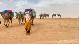 morocco camel trekking erg chigaga